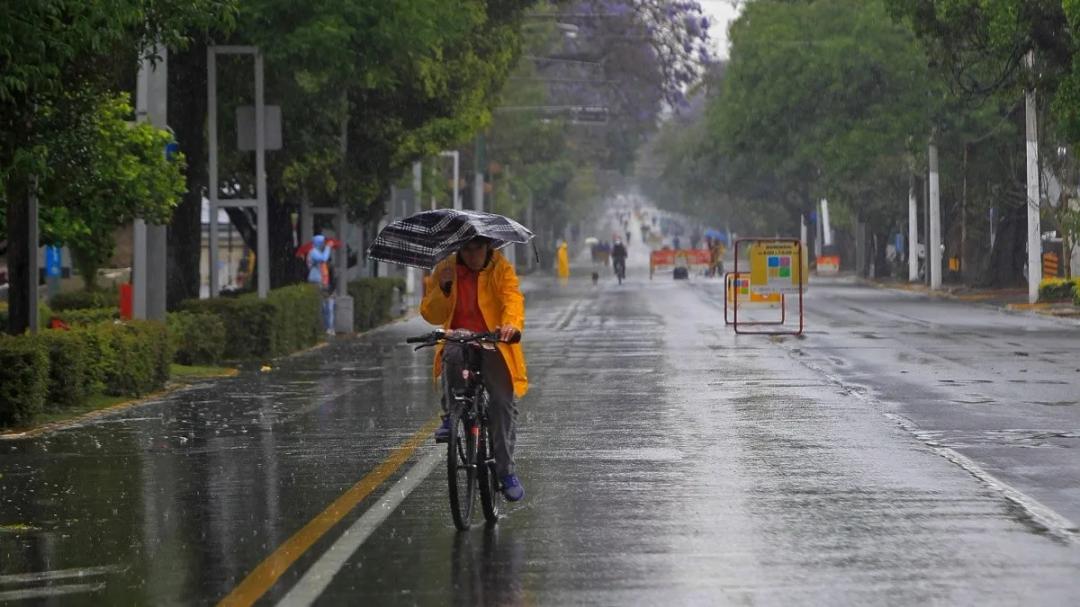 Clima en Jalisco: ¿A qué hora lloverá hoy 11 de junio?