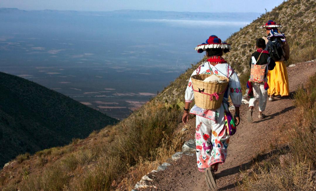 Ruta Wixárica: Unesco designa Patrimonio Mundial la ruta indígena mexicana