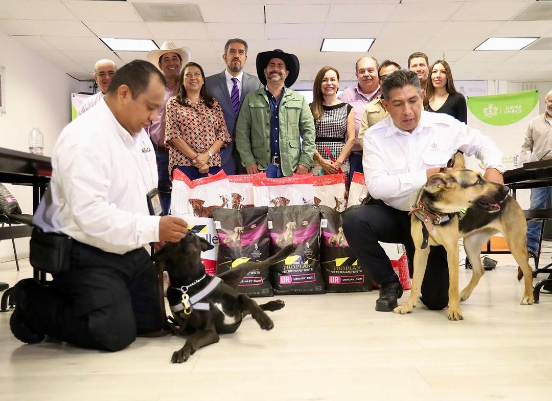 Jalisco, primero con binomios caninos para detectar al Gusano Barrenador