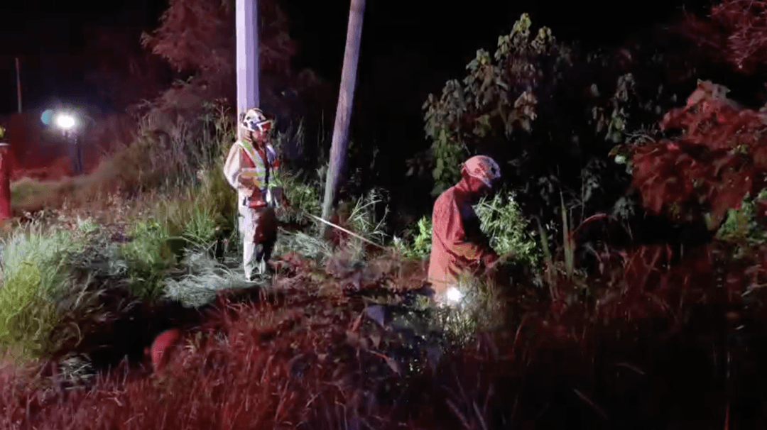 Zapopan: Conductor muere tras caer a un barranco en carretera