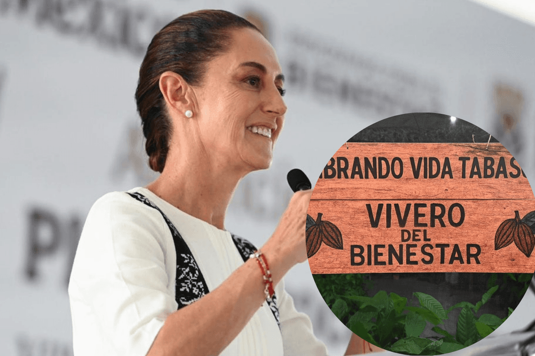 Chocolate del Bienestar: Anuncian construcción de una planta productora