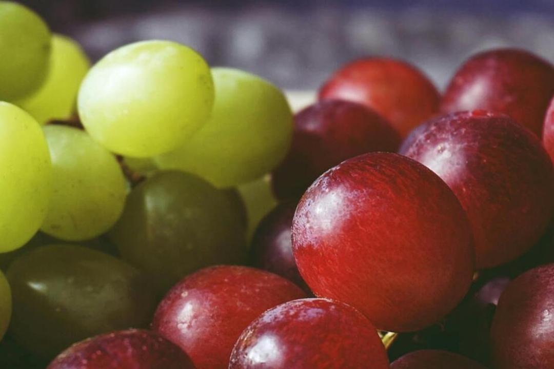 31 diciembre: ¡Anótale! Estos son los precios de la uva en el AMG