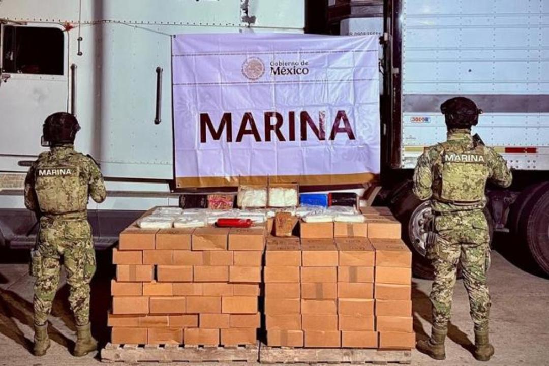 Mazatlán: Semanar asegura más de 600 kg de sustancias ilícitas
