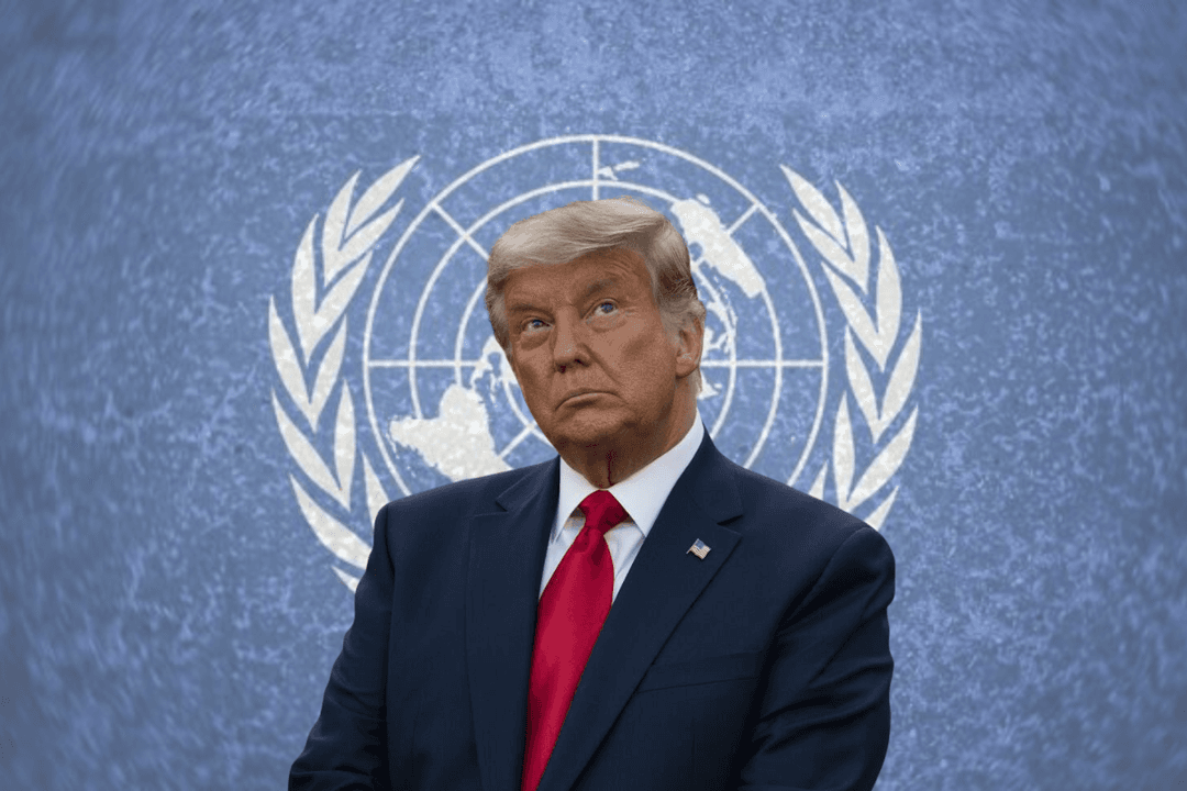 EU planeó retiro de 66 organizaciones internacionales y entidades de la ONU