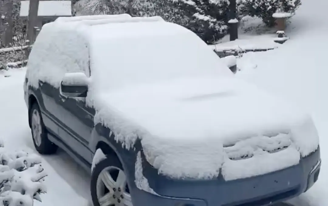 Frente frío en EU deja al menos 100 muertos en el sureste