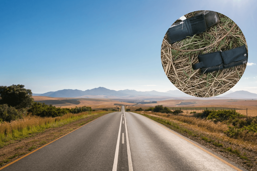 Mazatlán: Hallan carteras con credenciales y tarjetas bancarias