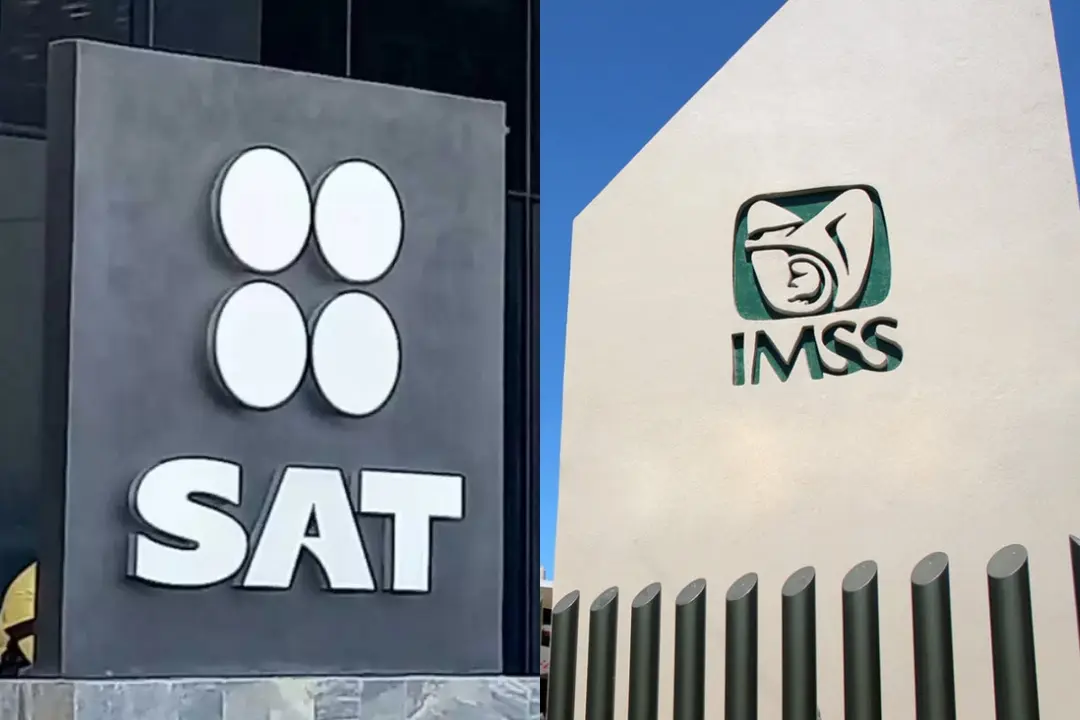 SAT e IMSS: Hackeo expone información de los usuarios