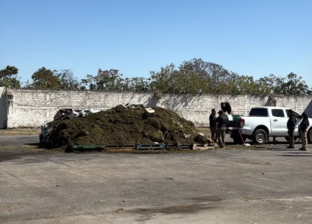 Jalisco: FGR y el gobierno del Estado realizan destrucción de sustancias ilícitas