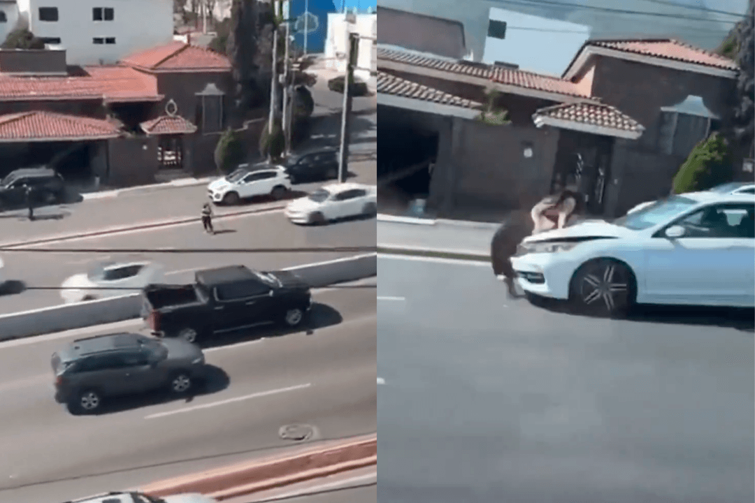 Monterrey: Liberan a conductora que atropelló a joven que se aventó
