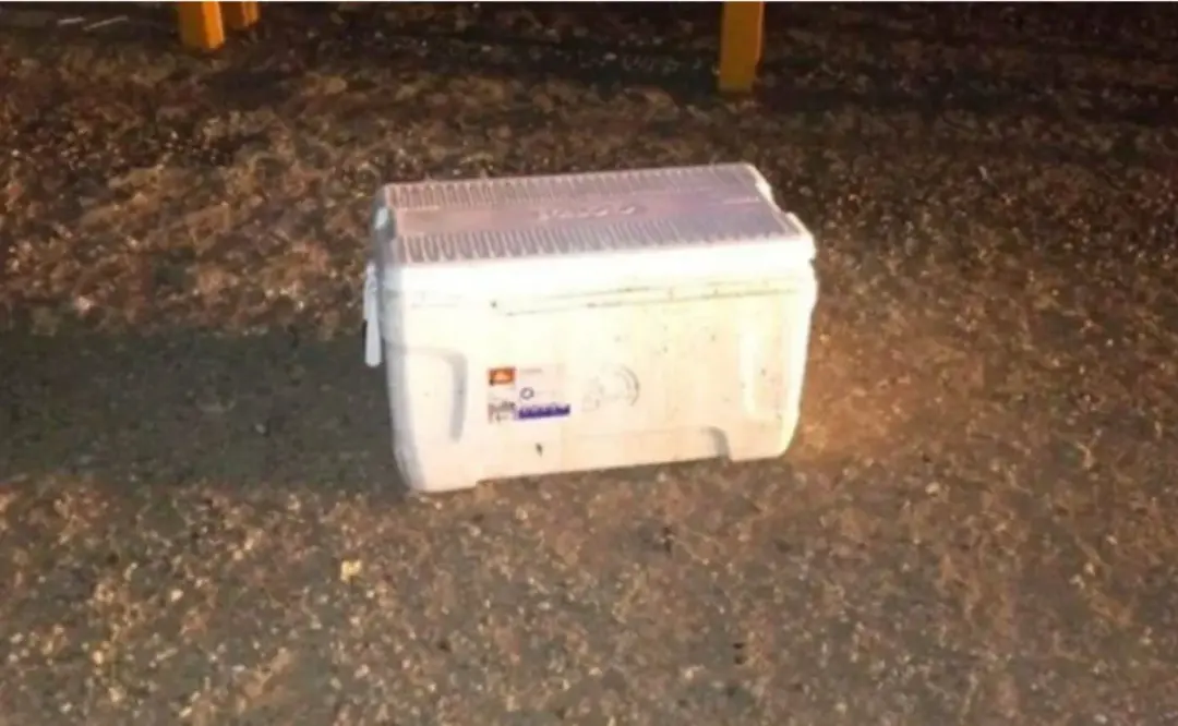 Elota: Hallan hielera con restos humanos; es la segunda en menos de una semana