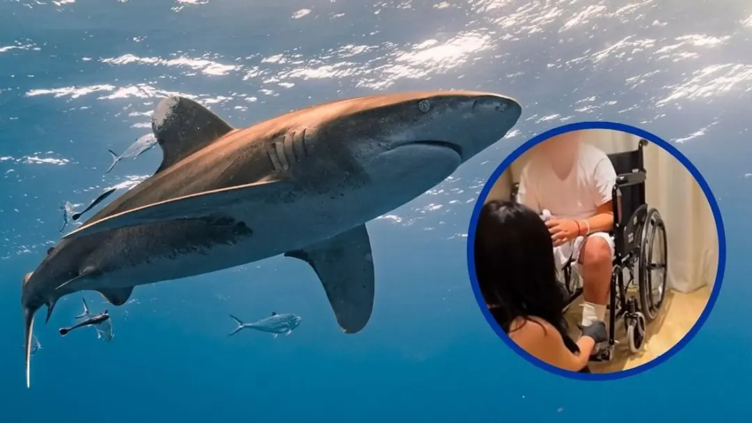 Lupita D’Alessio: Nieto es atacado por tiburón en Tulum