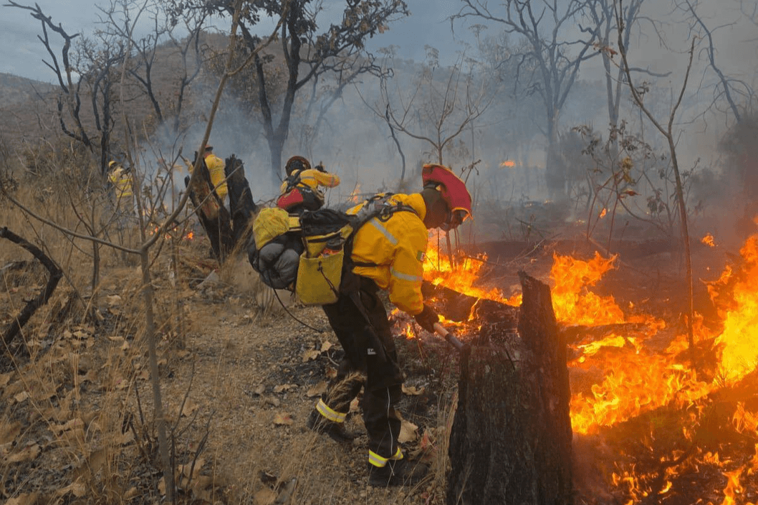 Bosque La Primavera: Incendio afecta más de 100 hectáreas