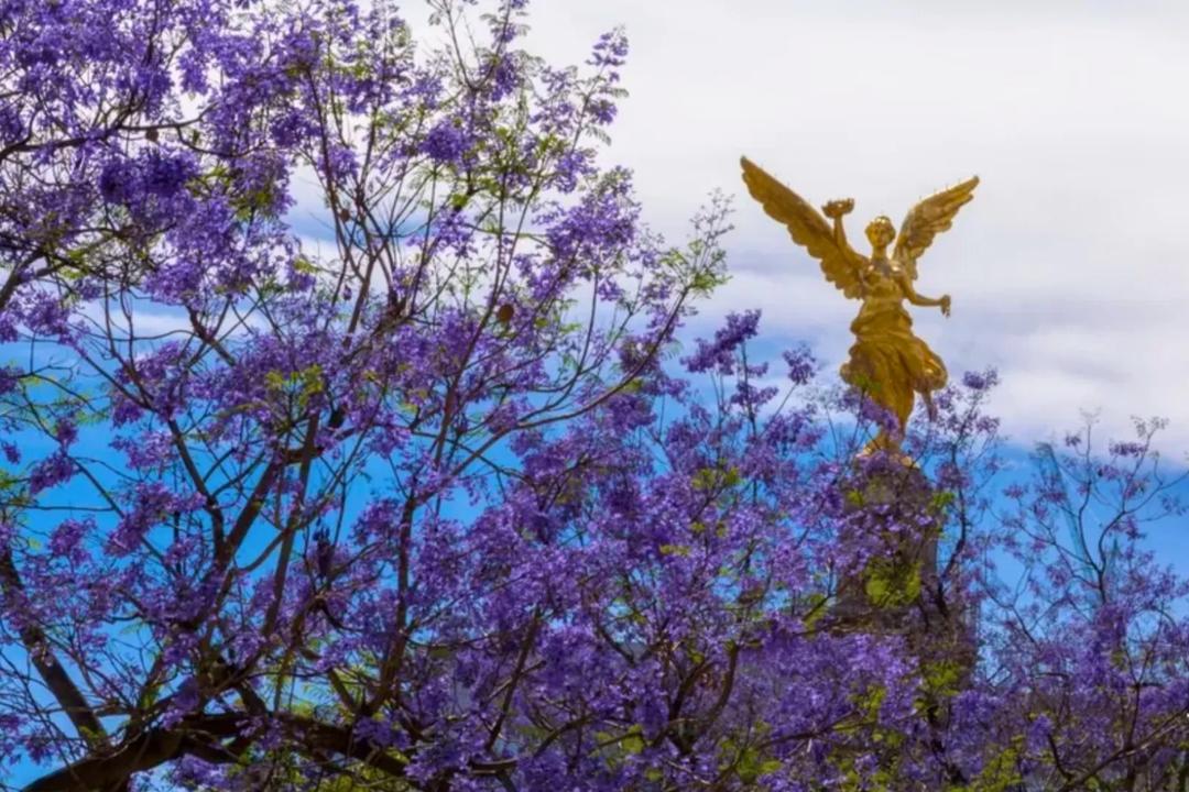 Primavera 2026 en México: Cuándo inicia y por qué cambia de fecha cada año