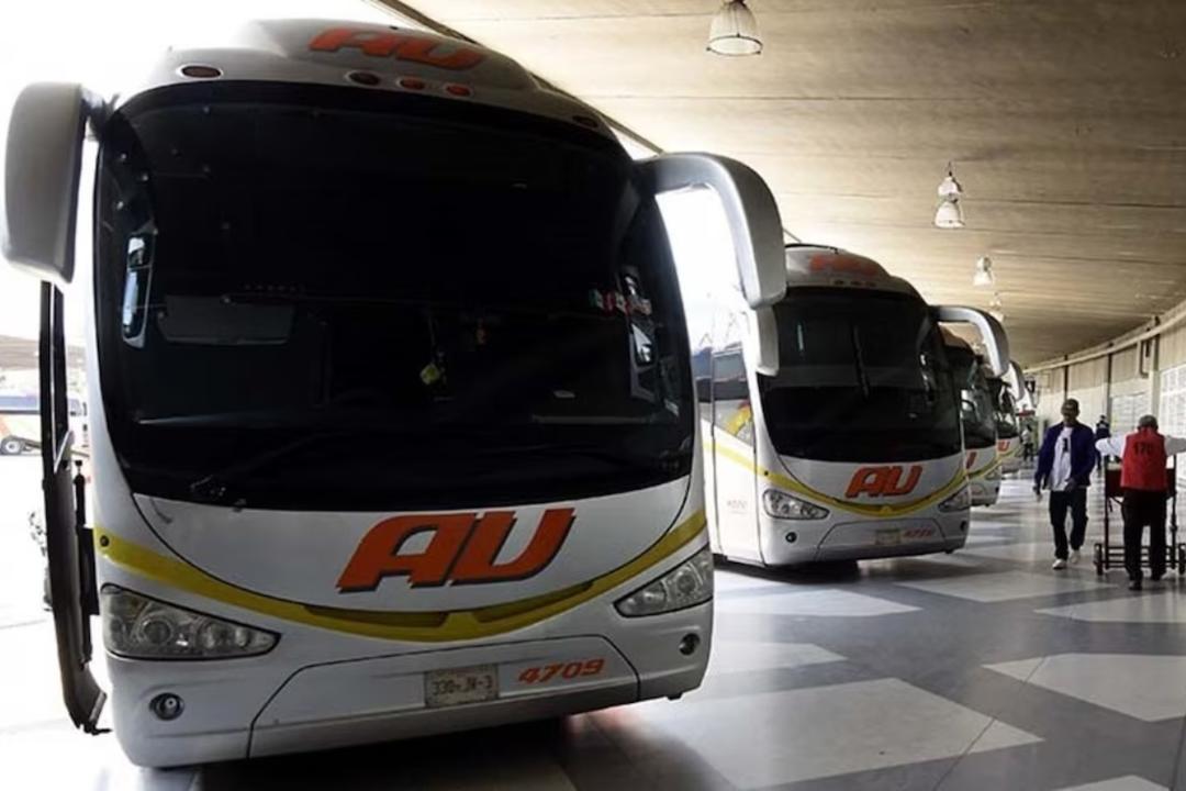 Semana Santa 2026: Anuncian descuentos a estudiantes y maestros en transporte