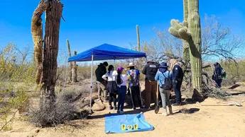 Sonora: Hallan panteón clandestino con 19 posibles víctimas