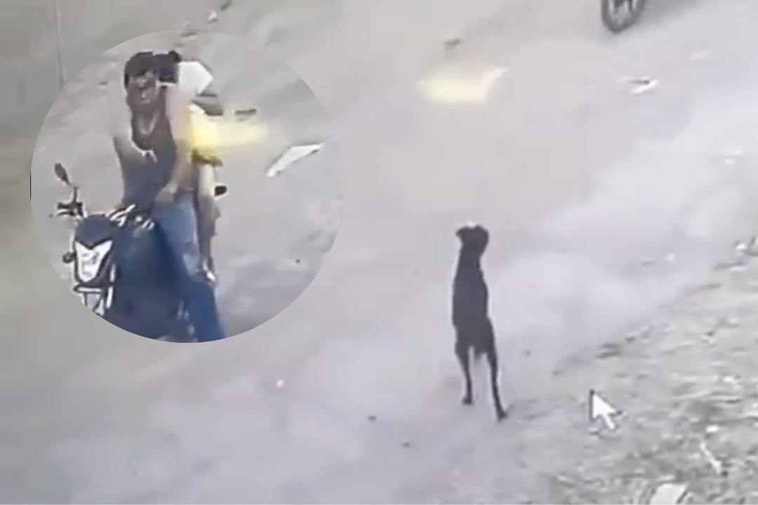 El Salto: Hombre asesina a un perro a balazos