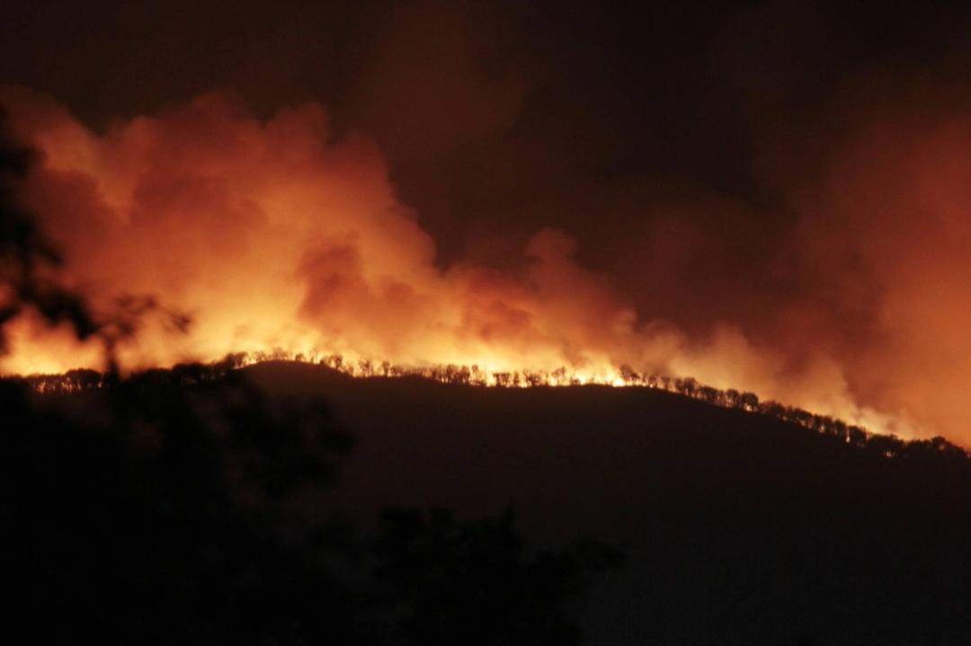 Incendios en Jalisco: Pasos para reportar un siniestro de manera rápida
