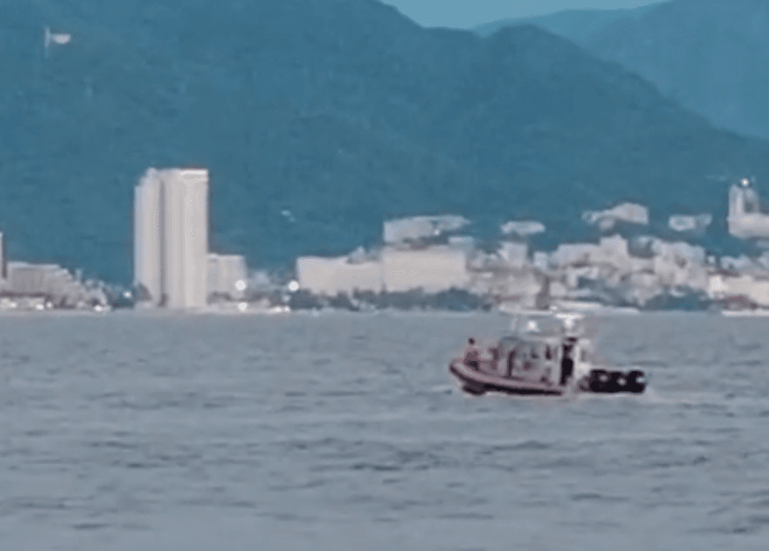 Puerto Vallarta: Cocodrilo ataca a turista en la playa