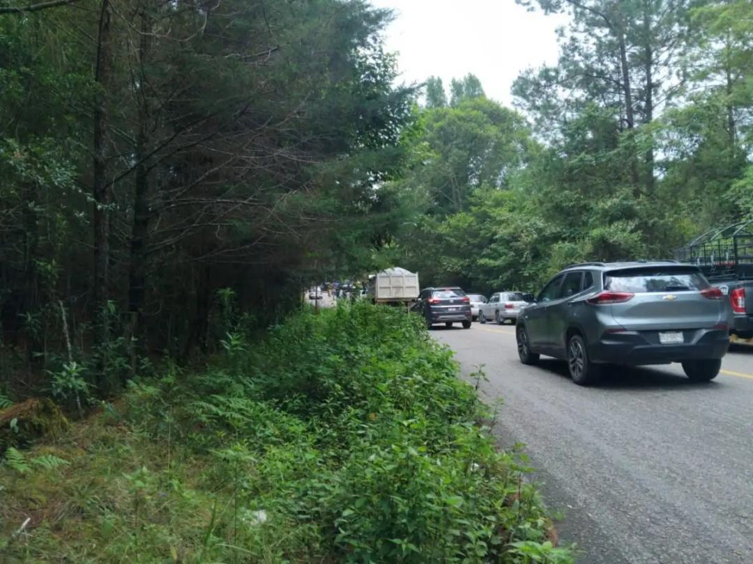 Chiapas: Encuentran ocho cuerpos con huellas de tortura