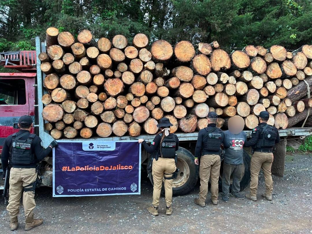Gómez Farías: Aseguran un cargamento de madera ilegal