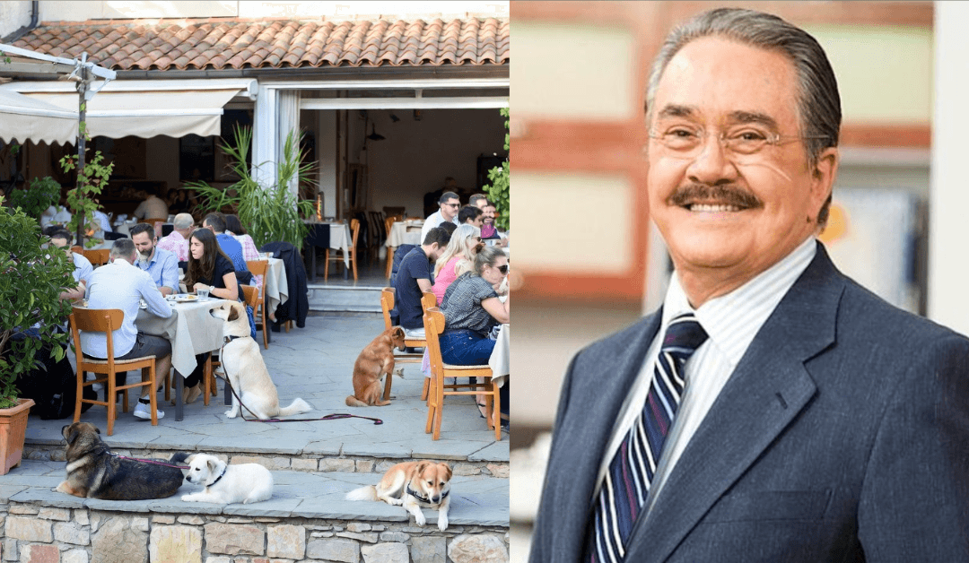 VIDEO: Pedro Sola dice que ‘le dan ganas de envenenar perritos’