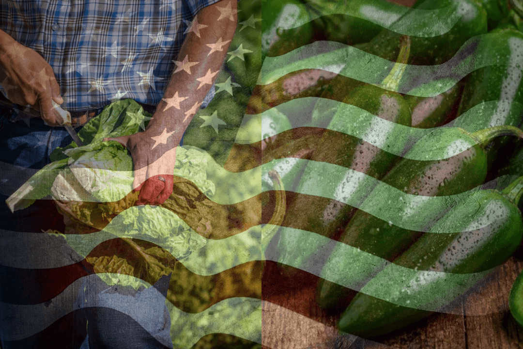 Alimentos mexicanos bajo la lupa de EU: de la lechuga hasta los jalapeños