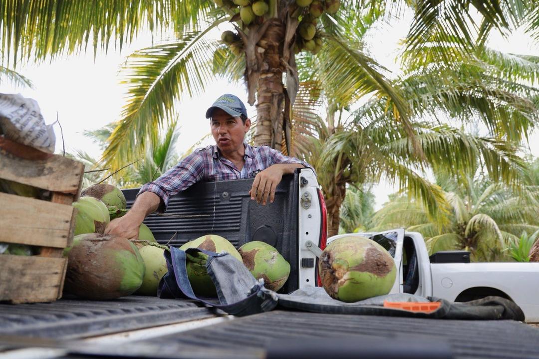 Jalisco lanza programa Agroempresarial para impulsar la innovación en el campo