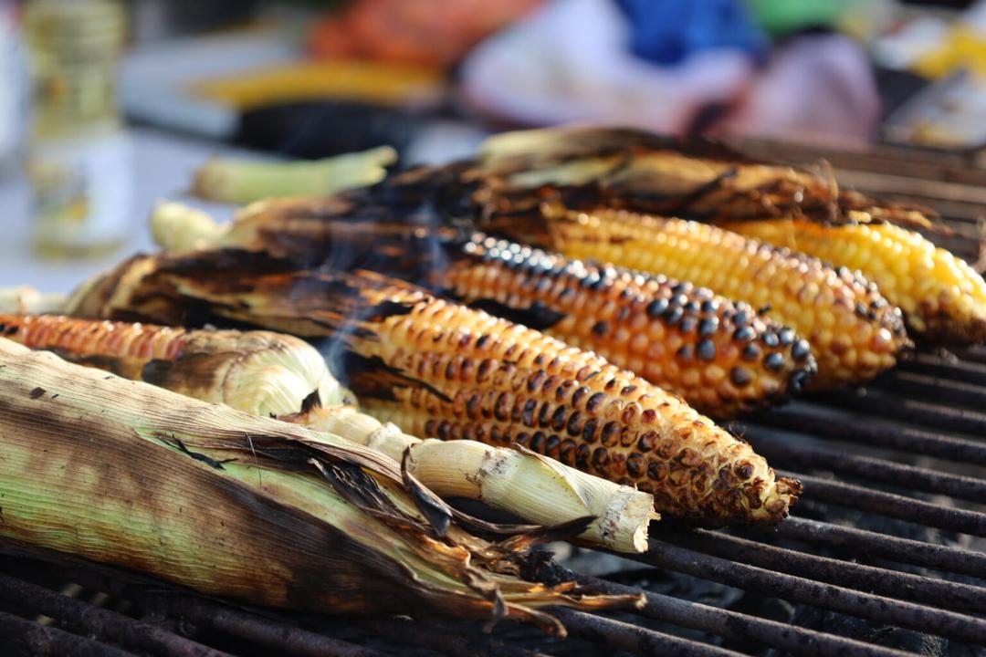 Arranca la Feria del Elote 2026 en Tesistán