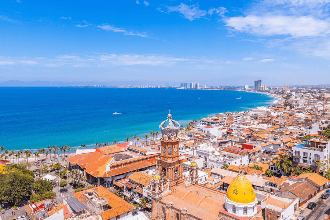Puerto Vallarta: Alertan por presencia de cocodrilos tras intensas lluvias