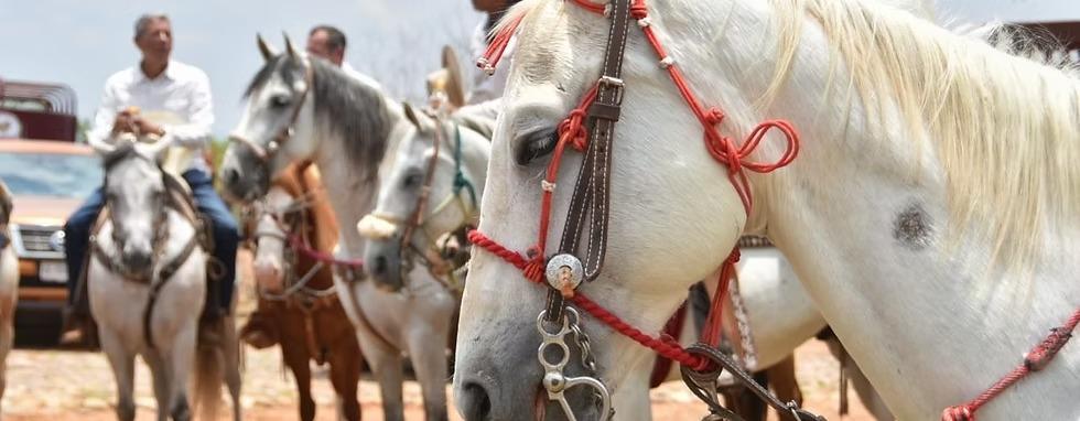 Aguascalientes: Comenzará la Feria Internacional del Caballo 2026