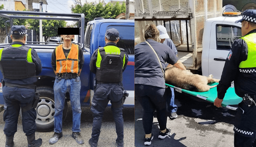 Tonalá: Detienen a sujeto por maltrato animal en Paseos del Valle