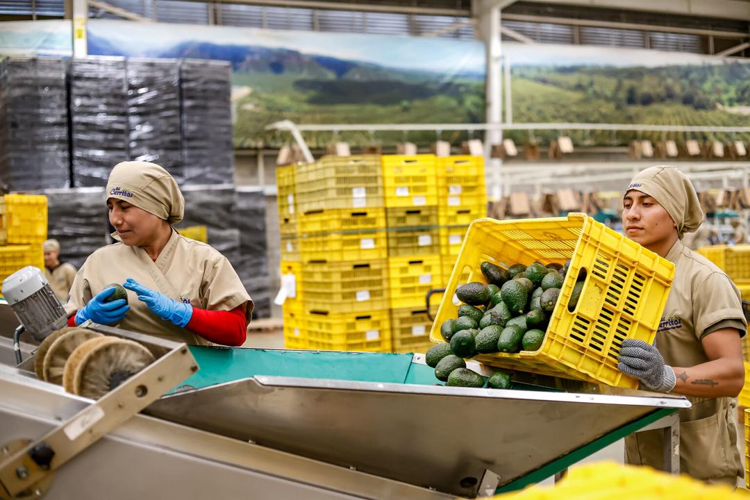 Inversiones en Jalisco crecen 25 % y se consolida entre los principales destinos de inversión