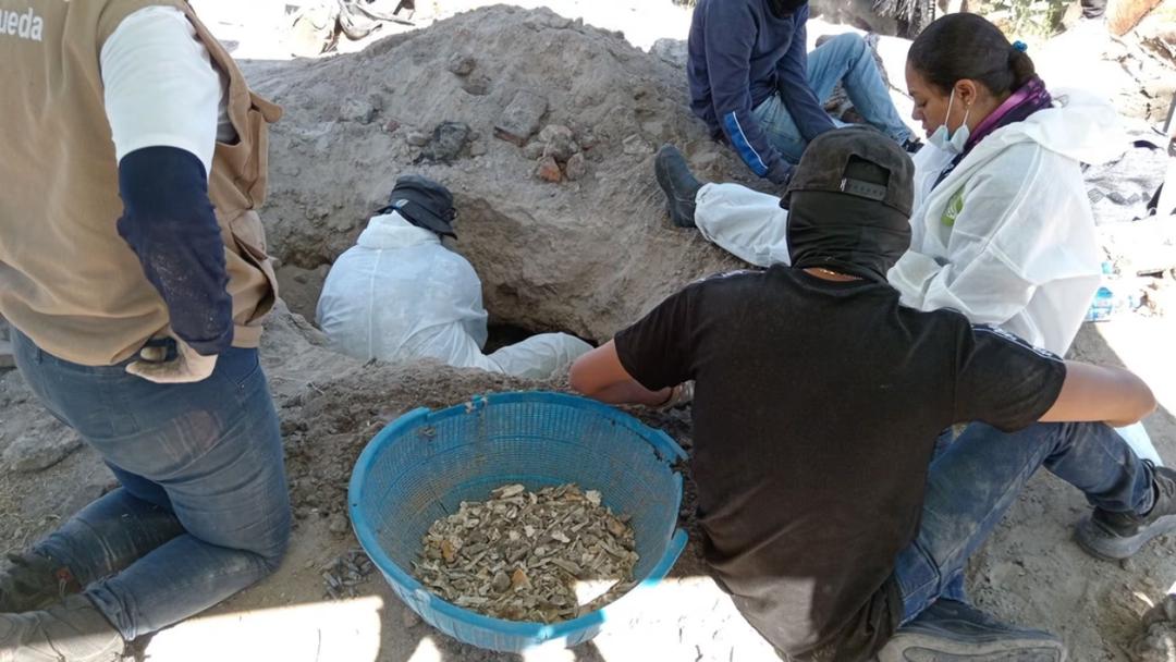 Michoacán: Hallan 1,600 dientes de leche en fosa clandestina