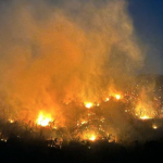 Cuatro incendios forestales aquejan en Acapulco y Chilpancingo.