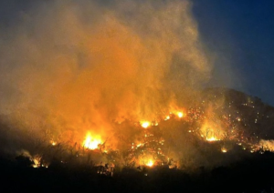 Acapulco: Incendios forestales amenazan zona urbana y suspenden clases